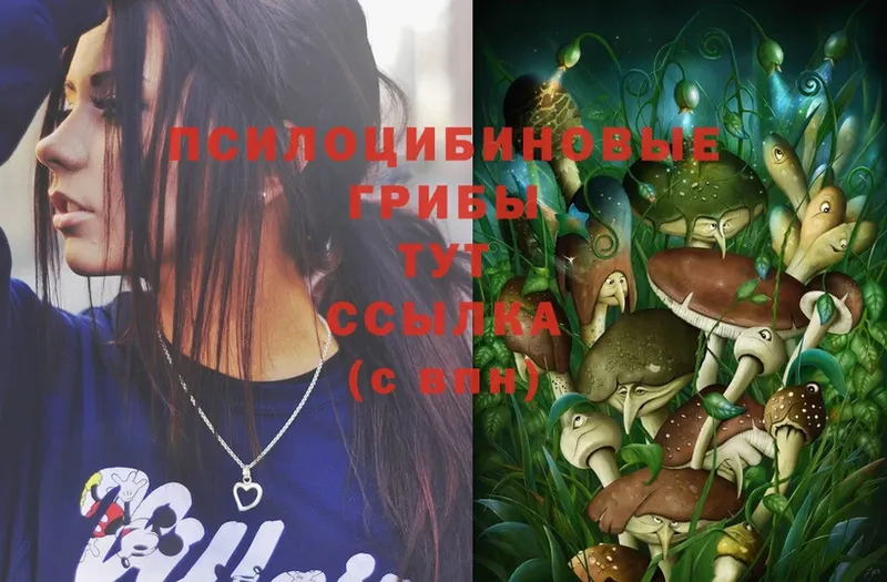 Галлюциногенные грибы Magic Shrooms  Бирск 